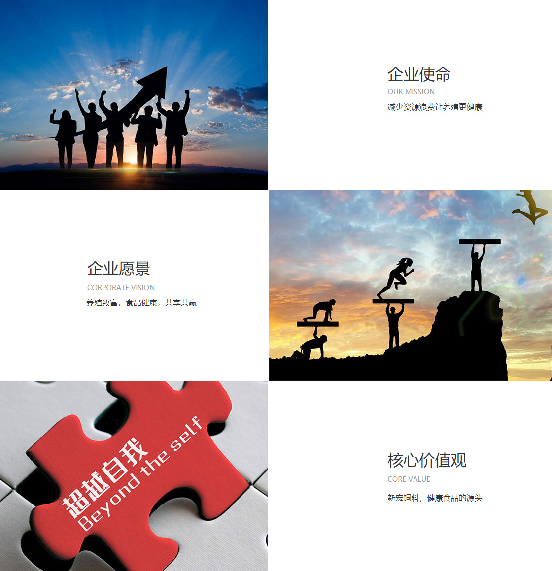 企业文化(1)